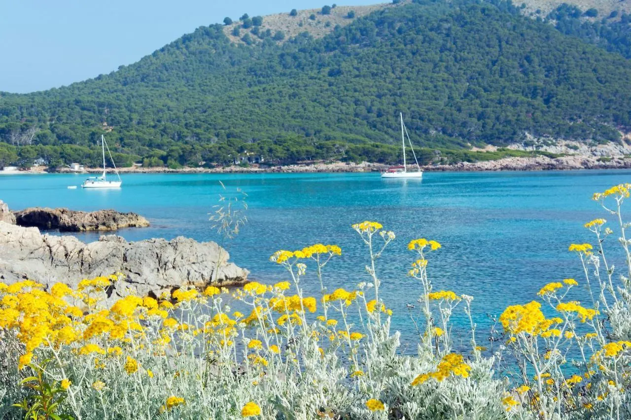 Hsm Regana - Adults Only Hotel Cala Ratjada   Cala Ratjada (Mallorca)